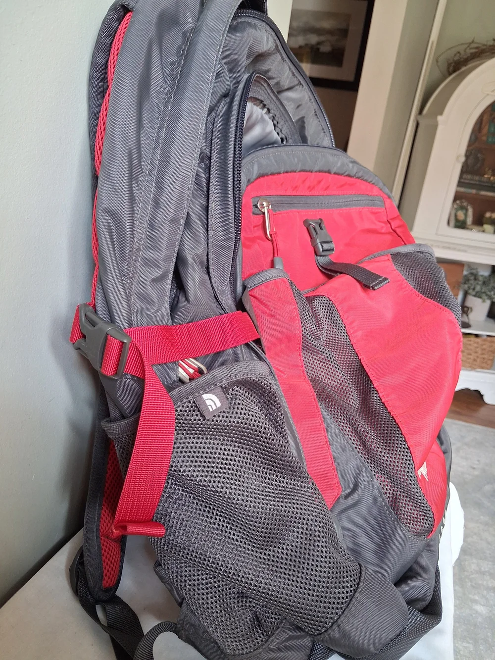 The North Face Red & Gray Recon Backpack Gorpcore